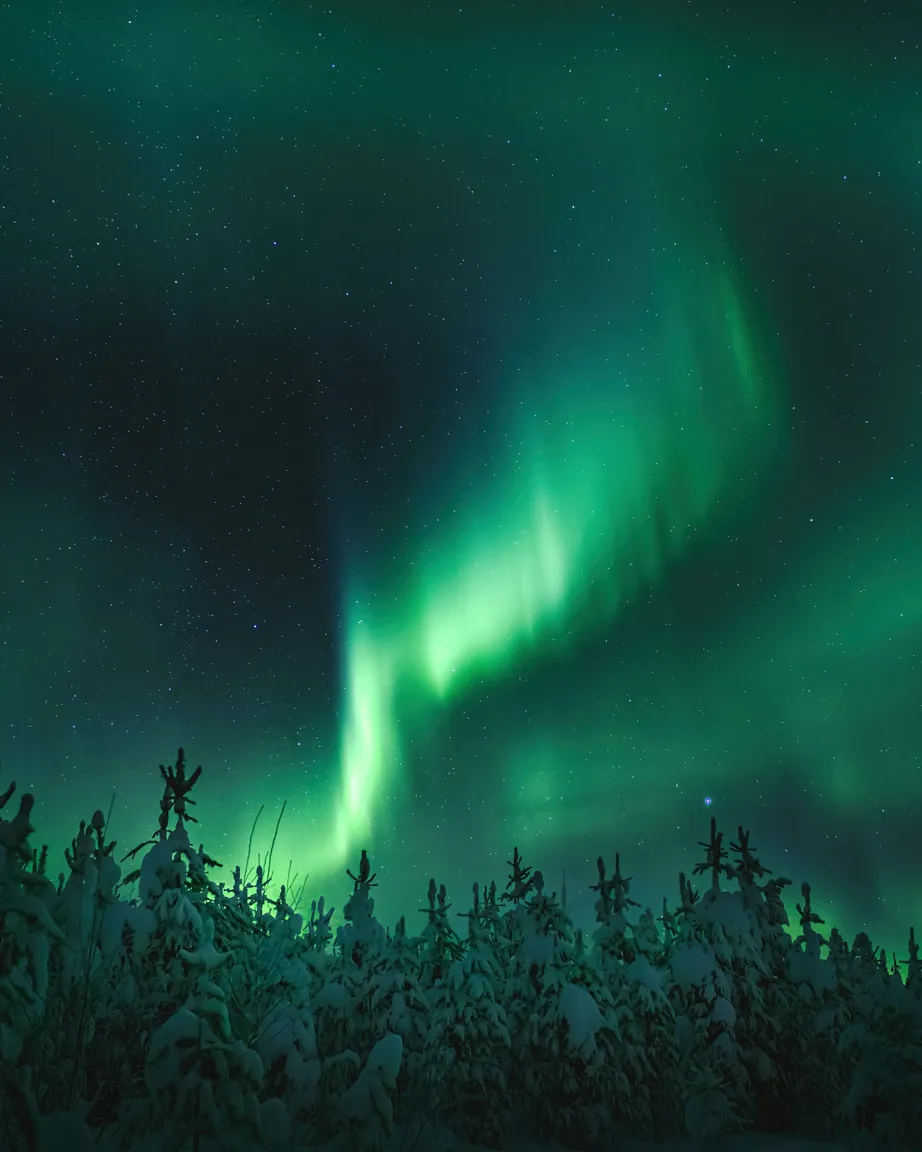 Winterwald_Polarlichter
